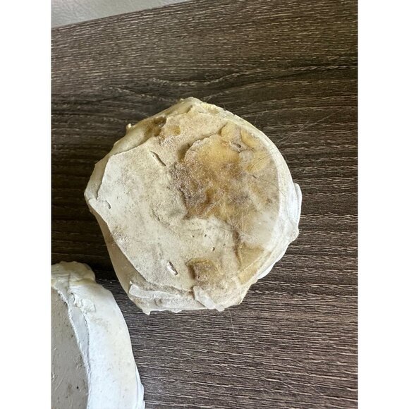 Vintage Dental Teeth Mold Cast – Upper & Lower Set - Picture 9 of 11